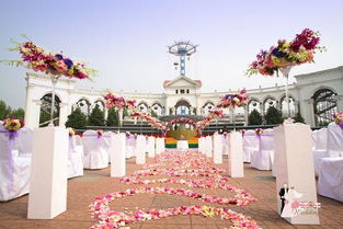 嘉美盛世 以光影定格永恒，專業主題婚禮策劃中的視覺藝術